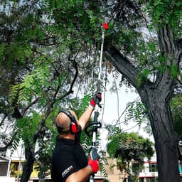 Multiusos Ducati Dbc-3301ms 3